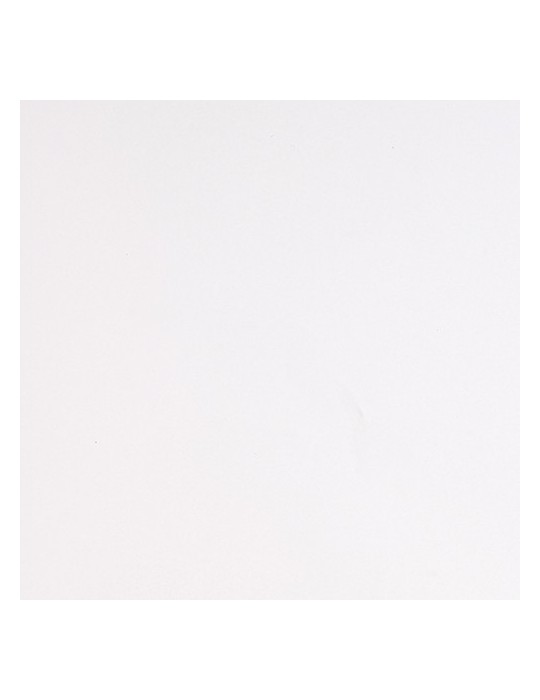 S5001M - Blanc Polaire Mat